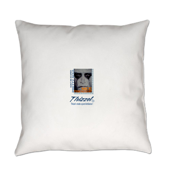 Thizzel create a pure Ambiance Everyday Pillow