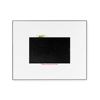 Live Tex Tree Vector Logo Picture Frame