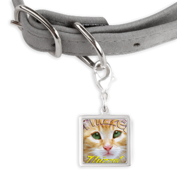 Jokes Logo Pet Tags