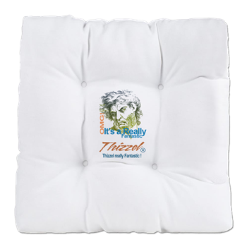 Thizzel really Fantastic Tufted Chair Cushion