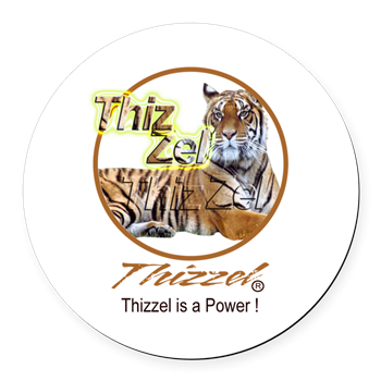 Power Logo Round Car Magnet