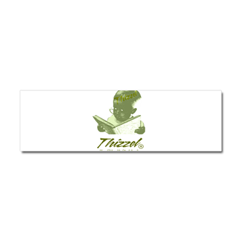 Thizzel Study Logo Car Magnet 10 x 3