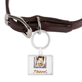 Thizzel makes me Funny Pet Tags