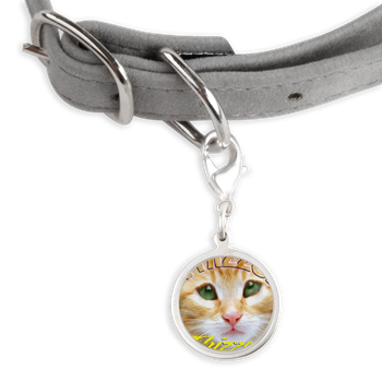 Jokes Logo Pet Tags