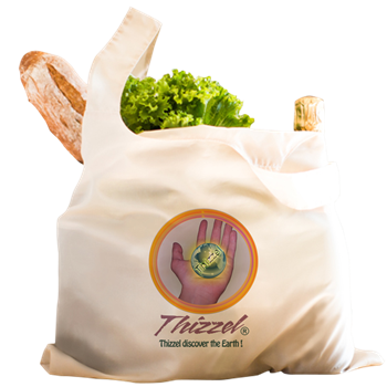 Discover Earth Logo Reusable Shopping Bag