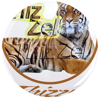 Power Logo 3.5" Button