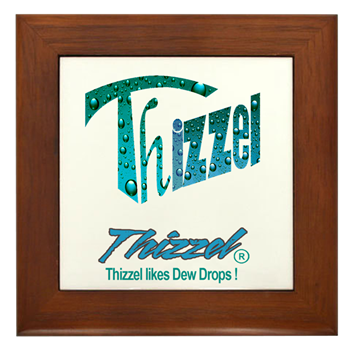 Dew Drops Logo Framed Tile