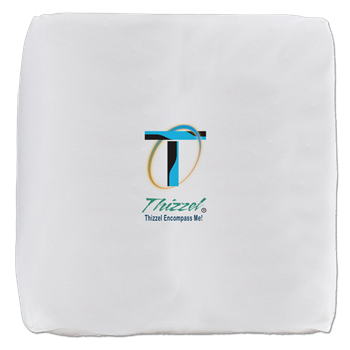 Thizzel Encompass Logo Cube Ottoman