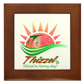 Summer Logo Framed Tile