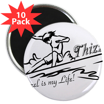 Thizzel Surfing Magnets