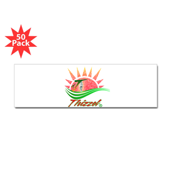 Summer Logo Bumper Bumper Sticker