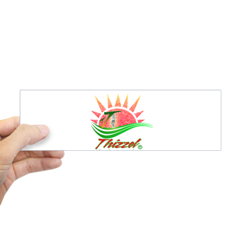 Summer Logo Bumper Bumper Sticker